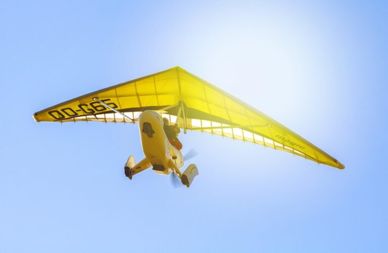 microlie aircraft in flight